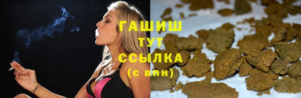 спиды Вяземский