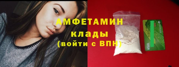 спиды Вяземский