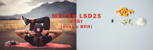 спиды Вяземский