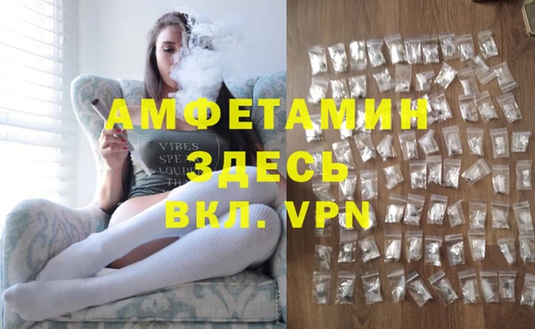 спиды Вяземский