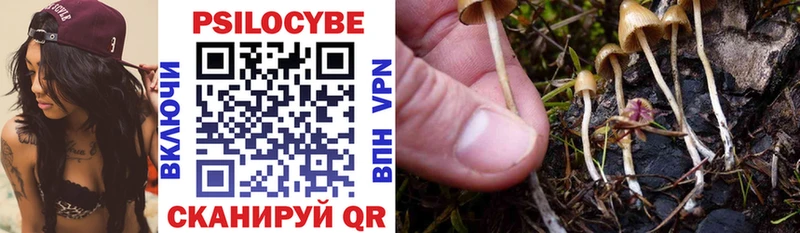 Галлюциногенные грибы Psilocybe Наро-Фоминск