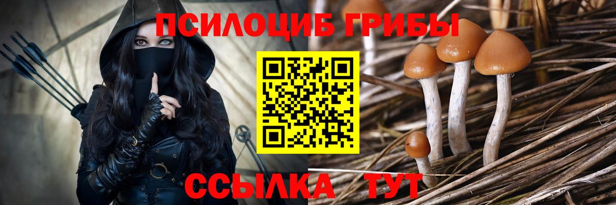 Галлюциногенные грибы Psilocybe  Вход с VPN  где найти наркотики  Наро-Фоминск 