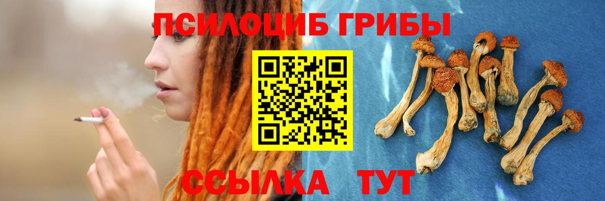 Галлюциногенные грибы прущие грибы Наро-Фоминск