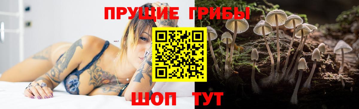 Галлюциногенные грибы Psilocybine cubensis  Псилоцибиновые грибы Psilocybe  Наро-Фоминск 